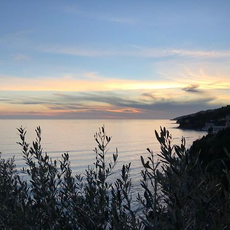 Villa Martina Mare Casal Velino Exterior foto